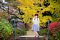 t_DSC_4615.jpg