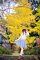 t_DSC_4617.jpg