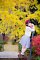 t_DSC_4624.jpg