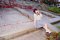 t_DSC_4689.jpg