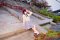 t_DSC_4690.jpg