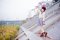 t_DSC_4697.jpg