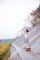 t_DSC_4698.jpg
