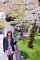 t__DSC3274.jpg