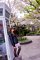 t__DSC3300.jpg