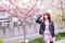 t__DSC3325.jpg