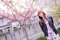 t__DSC3326.jpg