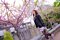 t__DSC3334.jpg