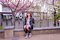 t__DSC3342.jpg