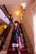 t__DSC3378.jpg