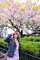 t__DSC3440.jpg