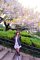 t__DSC3441.jpg
