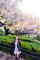 t__DSC3442.jpg