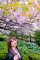 t__DSC3452.jpg