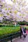 t__DSC3454.jpg