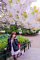 t__DSC3460.jpg