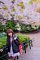 t__DSC3462.jpg