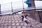 t__DSC3576.jpg