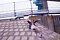 t__DSC3577.jpg