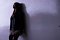 t__DSC3887.jpg