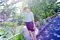 t__DSC5724.jpg