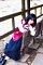 t__DSF3786.jpg