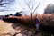 t_DSCF8663.jpg