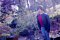t_DSCF8963.jpg