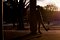 t_DSCF9307.jpg