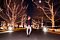 t_DSCF9501.jpg