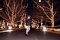 t_DSCF9502.jpg